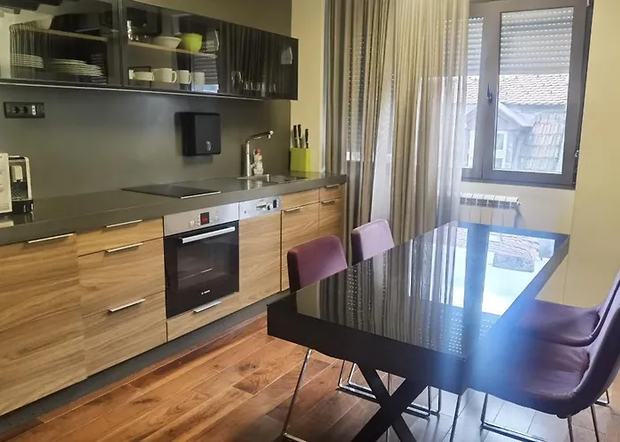 Calm & Two Bedroom 公寓 贝尔格莱德